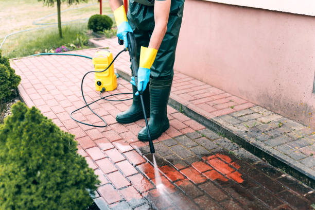 Pre-Holiday Cleaning in Maryville, IL